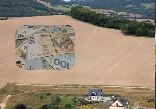 Dopłaty bezpośrednie 2026 – ekoschematy od 15 marca. Lista praktyk i najważniejsze zmiany. Jakie?