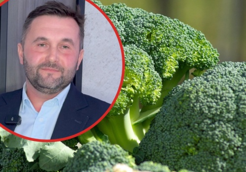 33 tys. roślin na hektar. Brokuł to niełatwy biznes