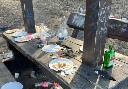 Mieszkanka Bielan domaga się likwidacji altan pod lasem. Mówi o libacjach i... strzałach z broni