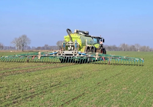 Najlepsze efekty po pofermencie! Poznaj sposób na wiosenne nawożenie zbóż