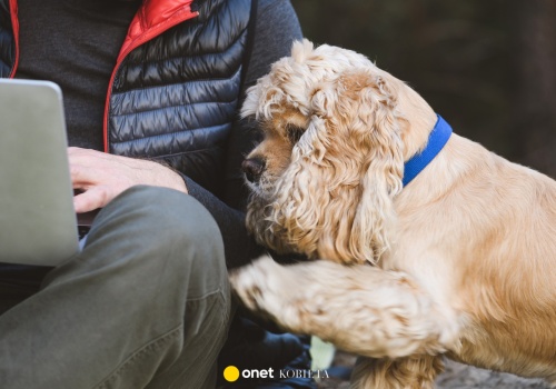 Czemu pies kładzie łapę na człowieku? Ten gest ma ukryte znaczenie