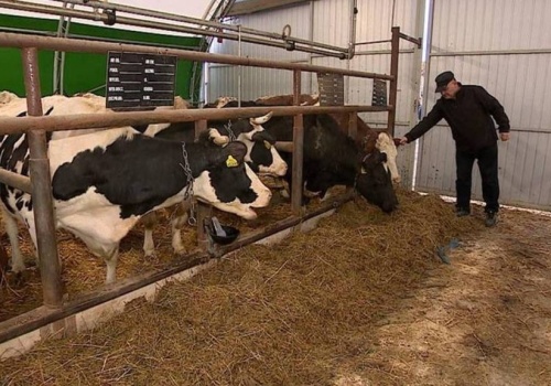 Urzędnicy radykalnie podnieśli opłaty rolnikom w Polsce