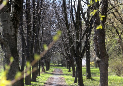 Wiosna w Polsce przyspiesza! Nawet 15 stopni C w środę, ale są też ostrzeżenia