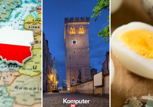 Trudny quiz dla umysłowej elity. 13/20 punktów tylko dla omnibusów