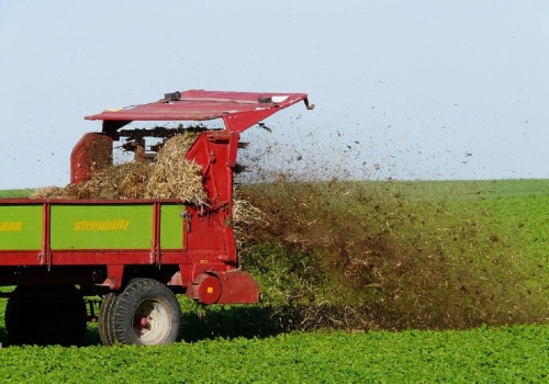 Kuriozum do kwadratu. Rolnicy będą karani za stosowanie obornika?