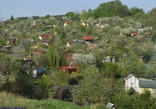 Drżą o swoje ogródki. W planie pojawiła się nowa funkcja na miejscu ROD