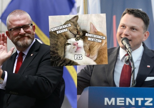 Sondaż: Konfederacje łącznie silniejsze niż PiS, KO z mocnym wynikiem ale bez większości