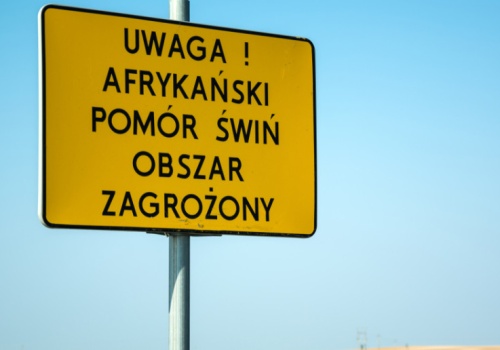 1,8 miliarda złotych. Tyle kosztowały nas choroby zakaźne zwierząt w 2025 roku