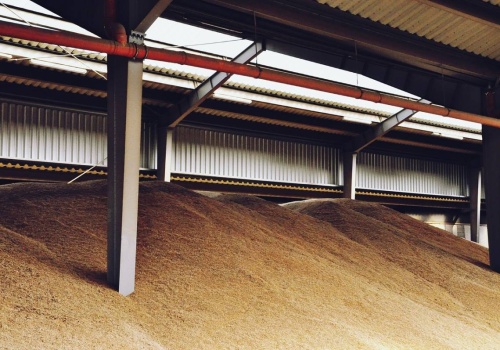 04.03.2026 Ceny skupu zbóż, kukurydzy, oleistych i strączkowych: kosmetyka w cennikach