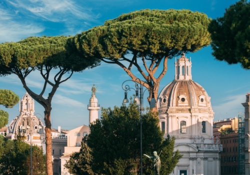 Władze Rzymu podjęły drastyczną decyzję. Chodzi o wiekowe sosny w okolicy Koloseum
