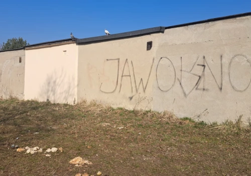 Służby w Jaworznie sprzątają, ptaki wracają. Nie rozrzucajcie chleba