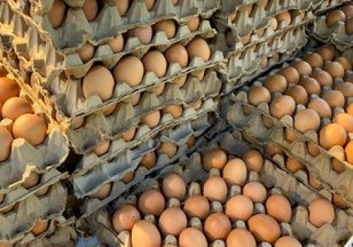 Kupujesz jajka od rolnika, bo lepsze? Taka skorupka to znak, że kura może być chora