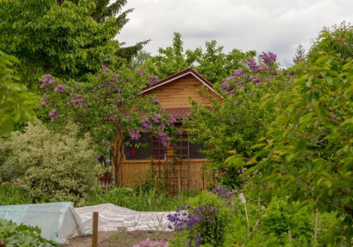 Działkowcy boją się likwidacji ROD. Nowa funkcja terenów w planach ogólnych