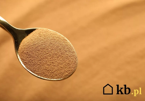 Promocja tygodnia w Biedronce. Klienci już sprawdzają półki z kawą