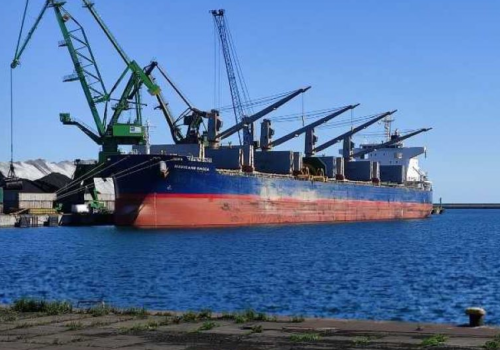 Skażony słonecznik przypłynął z Mercosur. Rolnicy alarmują: ceny nam spadły o 10%