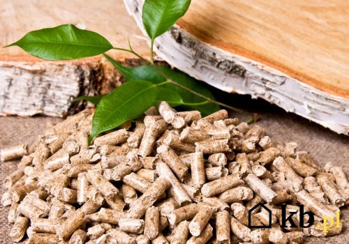 Pellet czy popularne drewno opałowe? Co wychodzi taniej do ogrzania domu?