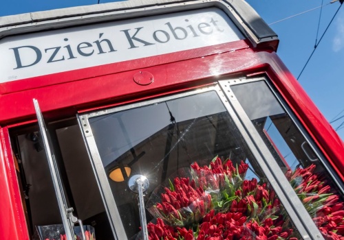 Tramwaj pełen tulipanów będzie jeździł po Krakowie. Specjalna akcja na Dzień Kobiet