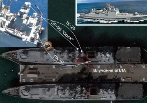 Przetrzebili morskie stado! Admirał Essen załatwiony