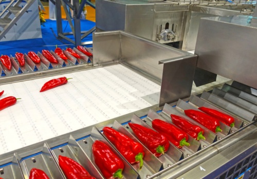 Energia i automatyzacja kluczowe dla przetwórstwa. 