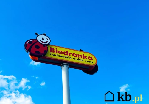 Biedronka przeceniła hitowy sprzęt do domu o 2500 zł! Wyprzeda się błyskawicznie