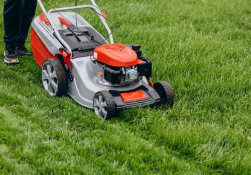 Nie trać czasu na koszenie trawy. Coraz więcej osób stawia na sprzęt, który zrobi to za ciebie