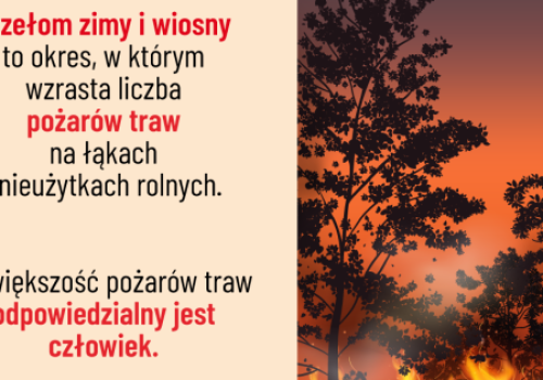 Czternaście pożarów traw w tydzień. Strażacy przypominają, że to nielegalne