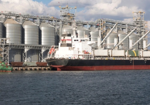 Pierwsza dostawa i już wpadka. Nasiona z Argentyny skażone pozostałościami pestycydów