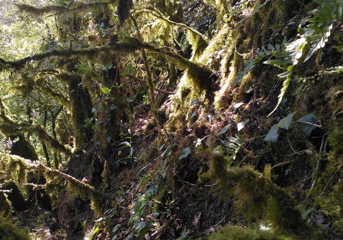 Skały skrywały artefakty z epoki brązu. Archeolodzy sugerują, jak mogły tam trafić