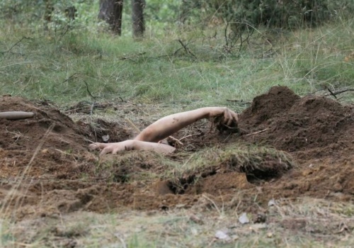 Przewodnik kulturalny. 7 wystaw w marcu, które warto zobaczyć