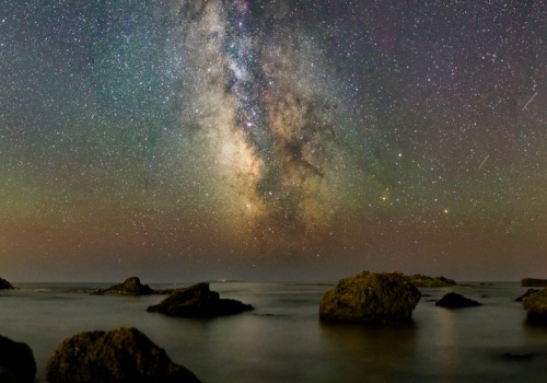 Przenoszą życie w kosmosie lepiej, niż statki. Badania mówią jasno