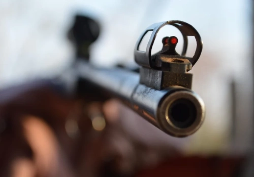 Myśliwy zastrzelił psa na prywatnej posesji. Następmnie zaproponował, że za niego zapłaci