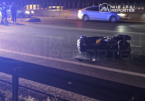 Dzik biegał po trasie S8. Zderzył się z motocyklistą. Zwierzę nie przeżyło