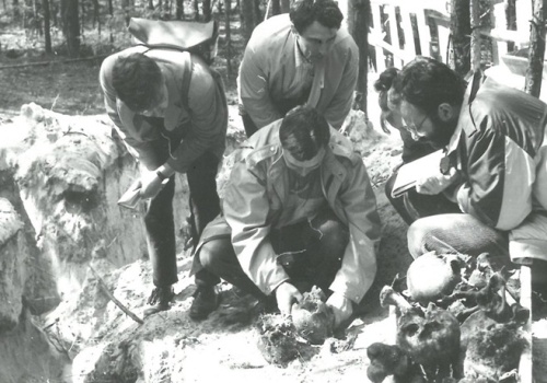 Groby pomordowanych przez komunistów w Otwocku: trwają badania, napływają informacje o kolejnych mogiłach