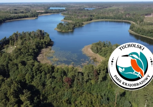 40 lat ochrony Borów Tucholskich. Czas Chojnic patronem ważnego wydarzenia
