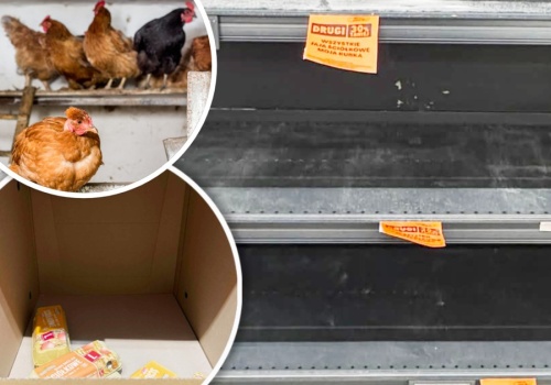 Z rynku zniknęło w kilka miesięcy 8 mln niosek. Będzie problem z jajkami na Wielkanoc?