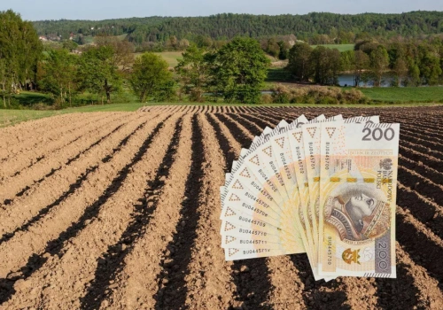 Czy zięć może kupić ziemię teścia na licytacji komorniczej? Jest decyzja Sądu Najwyższego