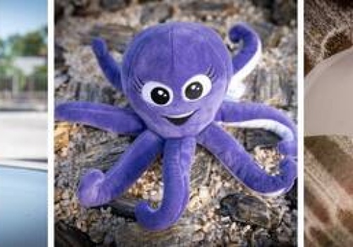 Rekin i Ośmiornica z dostawą do domu. Pamiątki z Hydropolis teraz dostępne są także online