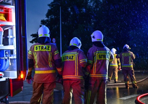 Podkarpackie: strażacy w marcu gasili już 87 pożarów traw