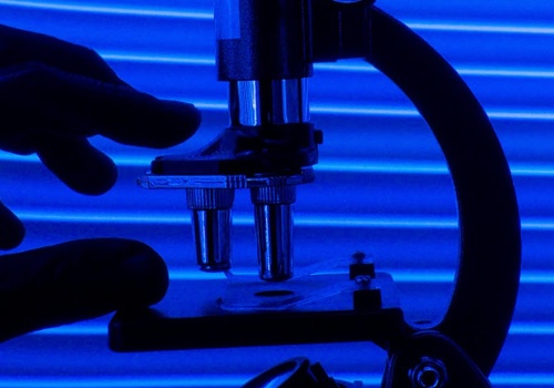 PolTREG pozytywnie ocenia wyniki przedklinicznych badań na zwierzętach w terapii in vivo