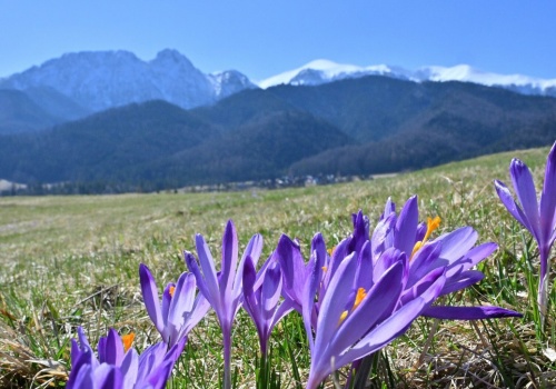 Nie rób tego w pierwszy dzień wiosny. Dawny przesąd wciąż aktualny?
