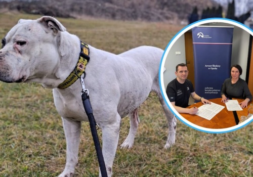 Osadzeni pomogą w schronisku w Opolu. „Korzyść dla obu stron”