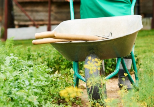 Praca w ogrodzie może być łatwiejsza niż myślisz. Wystarczy kilka sprytnych narzędzi