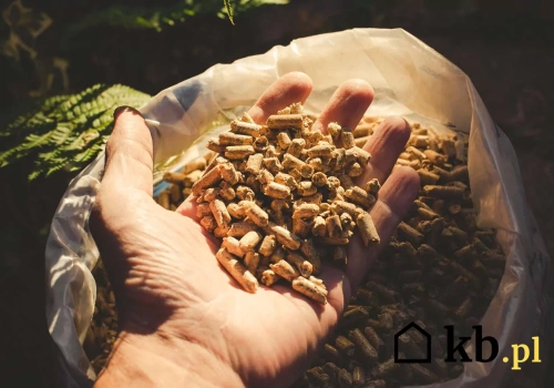 Wrzucają to do pieca zamiast pelletu. Eksperci ostrzegają - to prosta droga do awarii kotła