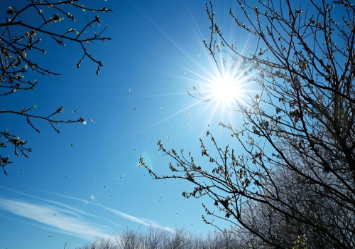 Pogoda na weekend. Wiosenne temperatury i dużo słońca