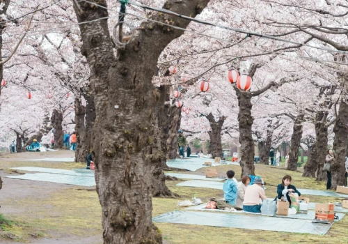 Na ten festiwal w marcu wielu czekało. Atrakcja odwołana