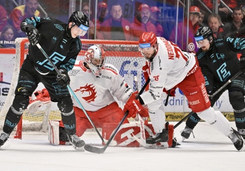 Stalownicy zaczną play-offy od rundy wstępnej. Porażka z Hradcem Kralowe