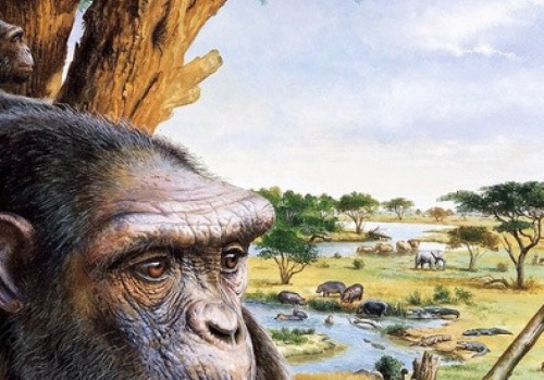 Małpa z Europy chodząca na dwóch nogach? Tego nikt nie zakładał