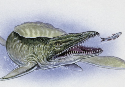 Monstrualny drapieżnik znaleziony w Afryce. Wielkie szczęki, 9 metrów