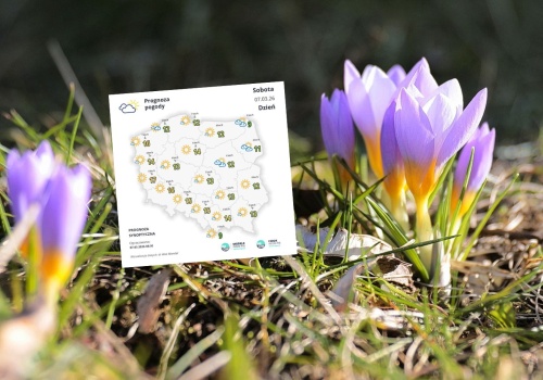 Wiosna przyspiesza. Na szczytach Gór Świętokrzyskich 10 stopni