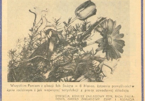 Czar zamechowskiego Dnia Kobiet